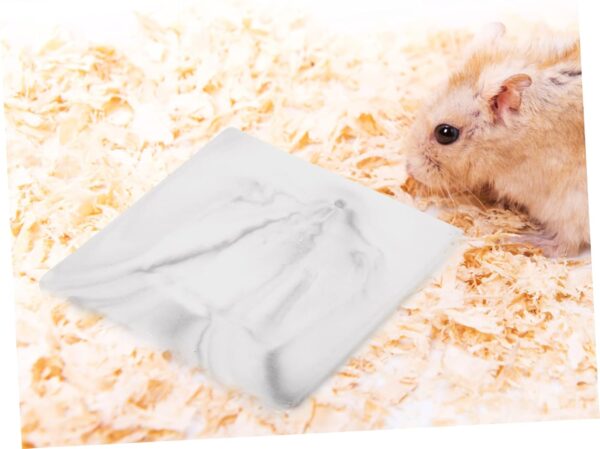Yardwe 5pcs Hamster Cooling Plate Pet Cooling Plate Hamster Bedding Summer Guinea House Hedgehog Sleeping Platform Small Animal Platform Hamster Hide Guinea Cool Mat Hamsters Ceramics - Image 4