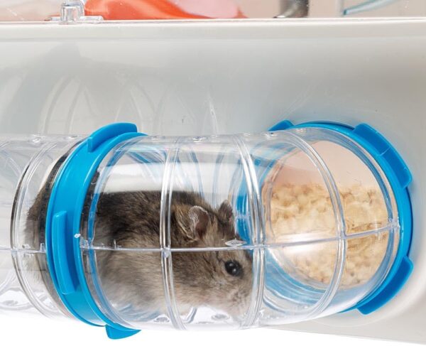 Ferplast COMBI 1 Innovative Hamster Cage - Customizable Habitat, Tunnel System - Interactive Transparent Design, Exercise Wheel & Accessories - Tubes Connect&Play, 40.5x29.5xh22.5 cm - Image 7