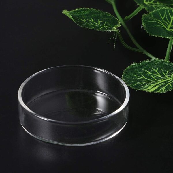 chenpaif Clear Glass Shrimp Food Round Dishes Small Fish Feeding Bowl Ornamental Supplies - Image 6