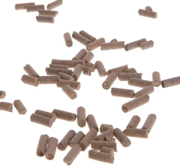 Small Fish Food 1.4 Oz Pellet Sticks Sinking Feed Blended-Diet Improving Immune System For Crystal Shrimp Aquarium Heater Light Thermometers Gravel Pump Sand Decorations Fish - Image 3