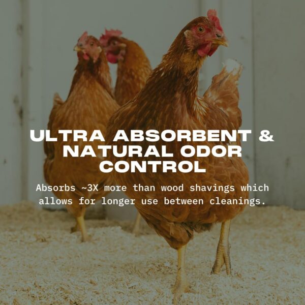 HEMPALTA Premium Hemp Bedding for Small Animals & Chickens: Ultra-Absorbent, Dust-Free & Comfortable (65L) - Image 4