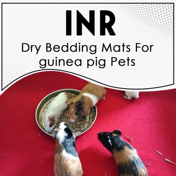 INR's Farm Fresh Bedding Litter Liners, Dry Cloth for Small Pets, Puppies, Birds, Kittens, 100 x 140 cm, Assorted Colors - Image 2
