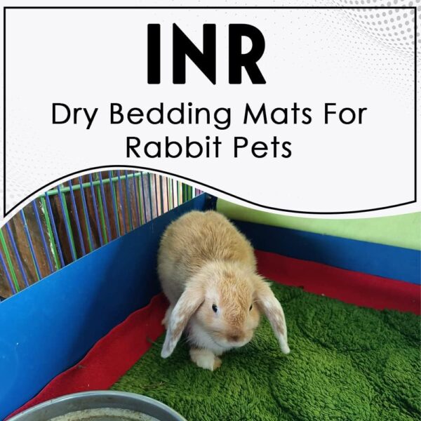 INR's Farm Fresh Bedding Litter Liners, Dry Cloth for Small Pets, Puppies, Birds, Kittens, 100 x 140 cm, Assorted Colors - Image 3