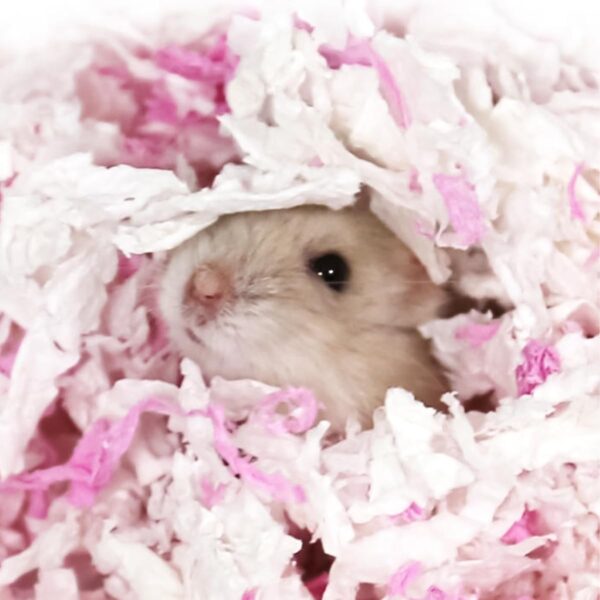 Namvo Hamster Paper Bedding,Absorbent Guinea Pig Rabbit Bedding Pellets,500g Dust-Free and Odor Control Paper Litter for Reptile,Small Animals（Pink/White） - Image 5