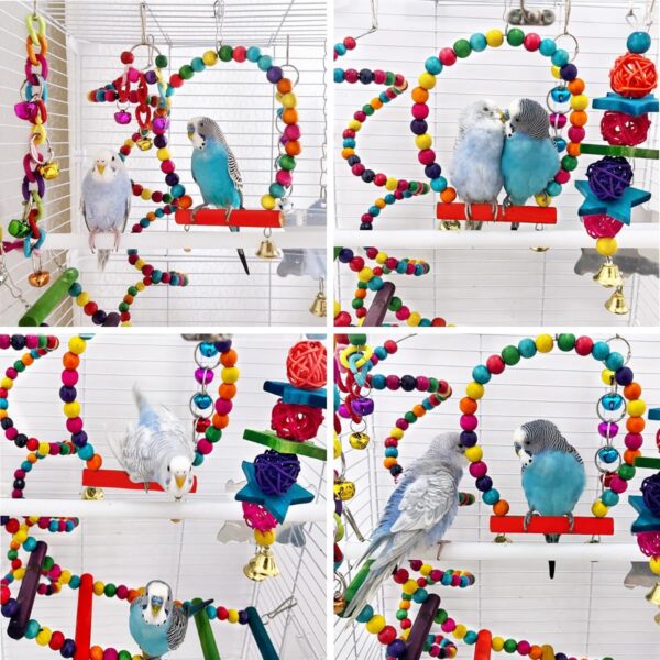 Pethee 8 Pack Budgie Toys Bird Toys Set Bird Swing Chew Toys Bells Hanging Mirror Climbing Ladders Wooden Chewing Toy for Parrot Conure Cockatiel Lovebird Parrotlet - Image 6