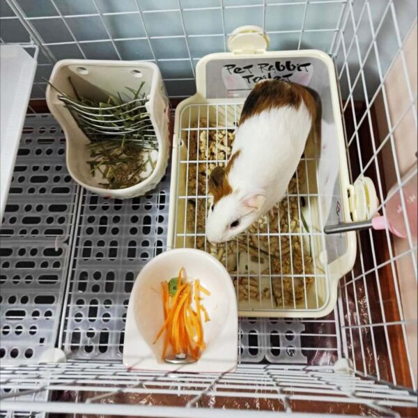 Tfwadmx Rabbit Litter Box Bunny Corner Litter Pan Pet Bedding Litter Box with Grate Small Animal Toilet Potty Trainer for Rabbit Bunny Chinchilla Guinea Pig Ferret (White) - Image 5