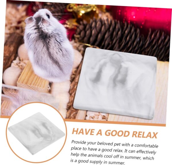 Yardwe 5pcs Hamster Cooling Plate Pet Cooling Plate Hamster Bedding Summer Guinea House Hedgehog Sleeping Platform Small Animal Platform Hamster Hide Guinea Cool Mat Hamsters Ceramics - Image 9