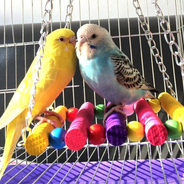 FEMONGY Budgie Toys and Accessories 2 Packs Bird Toys for Caged Birds, Parrot Toys, Cockatiel Toys, Parrot Perch, Pet Bird Parrot Parakeet Budgie Cockatiel Cage Hammock Swing Toy - Image 7
