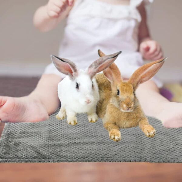 3 Pack Guinea Pig Blankets Hamster Flannel Bunny Blanket Cage Liners Small Pet Fleece Sleep Blankets Bedding Mats Bath Towels for Hamster Guinea Pig Rabbit Kitten Chinchilla Hedgehog (M, 3 Pack) - Image 6