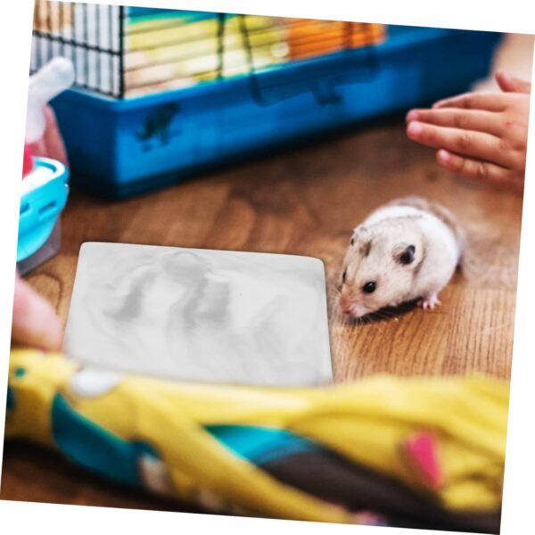 Yardwe 5pcs Hamster Cooling Plate Pet Cooling Plate Hamster Bedding Summer Guinea House Hedgehog Sleeping Platform Small Animal Platform Hamster Hide Guinea Cool Mat Hamsters Ceramics - Image 5