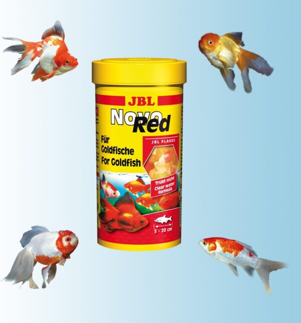 JBL NovoRed 30199 Complete Food for Goldfish Flakes 100 ml - Image 4