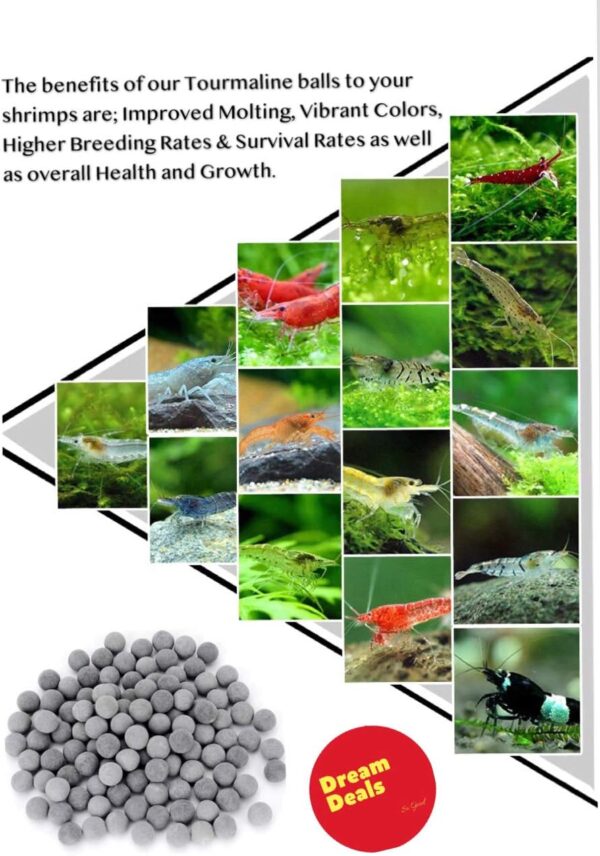 DreamDealsSG 200pcs Tourmaline Balls for Freshwater Aquarium Tank. Mineral Supplement Substrate. Live Shrimp Food, Betta Fish Food, and Crayfish Food. Water Conditioner for Freshwater Shrimp etc - Image 5