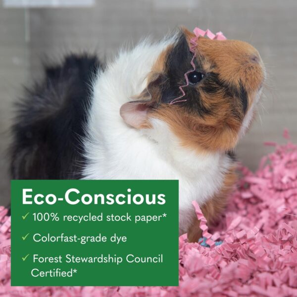 ECO BEDDING FiberCore Eco Colors, Dust Free Paper Bedding for Small Pets and Birds, Made in The USA, 1.5lb/10L Expands to 30L, Pink - Image 2