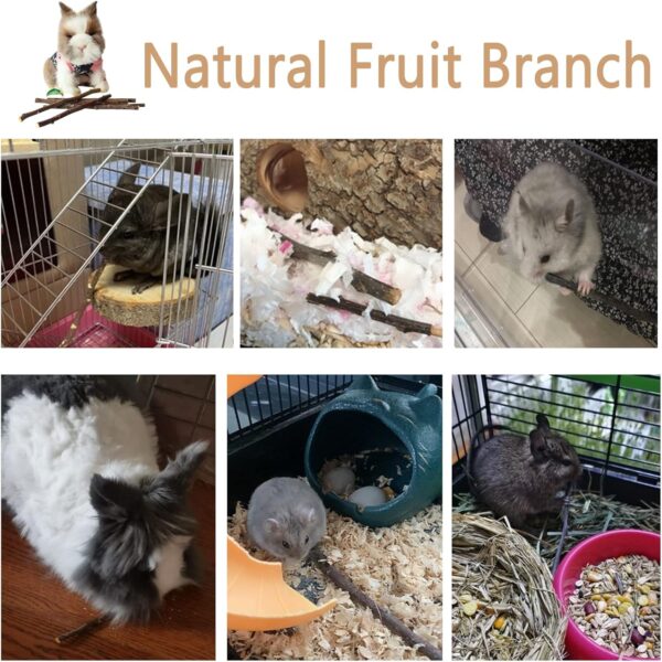 Hamiledyi Rabbit Litter Box,Small Animals Plastic Rectangle Toilet Bunny Training Potty Pet Cage Bedding Pan Chew Toys for Rabbits Guinea Pigs Chinchillas Ferrets - Image 7