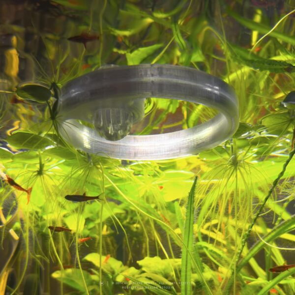 byMazy Fish Feeding Ring with Worm Feeder Cone, Aquarium Floating Plant Portal - Tropical/Cold-Water Fish Tank Accessories (100mm Ring + Large Cup, Clear White) - Image 2