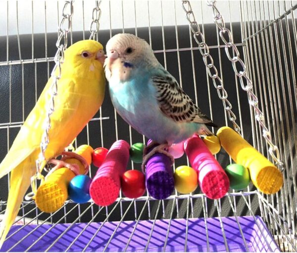 Pet Bird Parrot Parakeet Budgie Cockatiel Cage Hammock Swing Toy - Image 5