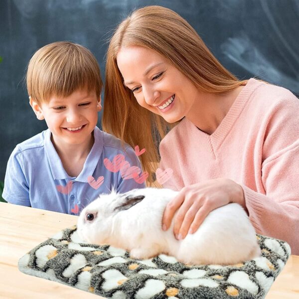 XMPEKO 3PCS Small Animal Plush Bed - 50 * 40 * 3cm, Fluffy Soft Warm Fleece Guinea Pig Bedding Mat Blanket for Cage Accessories for Rabbit Bunny Chinchilla Squirrel Hedgehog Hamster - Image 6