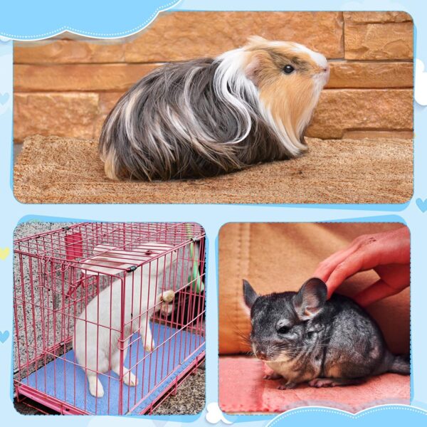 10 Pieces Guinea Pigs Blankets Hamster Fleece Cage Liners Soft Guinea Pig Accessories Small Animal Pet Blanket Sleep Bedding Mats Pet Supplies for Dog Puppy Cat (Mixed Colors, 18 x 24 Inch) - Image 5