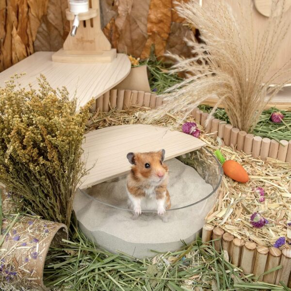 Niteangel Training Litter Potty Sand - Hamster Sand Bath for Syrian Dwarf Hamsters Gerbils Mice Lemming Degus or Other Small-Sized Pets ((1.4 L X 2 - Blue Label) - Image 6
