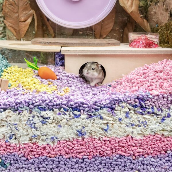 Niteangel Hamster Paper Pellets Bedding for Syrian Dwarf Hamsters Gerbils Mice Mouse Lemming Degus or Other Small-Sized Pets (Pink) - Image 5