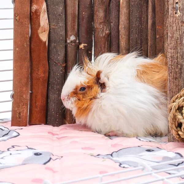 PStarDMoon Guinea Pig Cage Liners Waterproof Guinea Pig Pee Pads, Digital Print Washable Reusable & Anti Slip Guinea Pig Bedding Fast and Super Absorb Water for Small Animals Rabbit Hamster Rat - Image 8