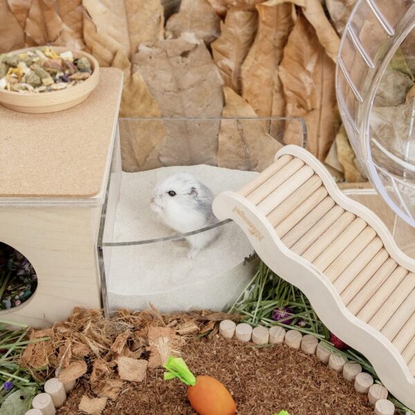 Niteangel Training Litter Potty Sand - Hamster Sand Bath for Syrian Dwarf Hamsters Gerbils Mice Lemming Degus or Other Small-Sized Pets ((1.4 L X 2 - Blue Label) - Image 4