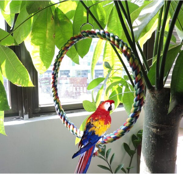Andiker Bird Swing, Cage Hanging Toys Cotton Rope Swing Bite Resistance Perches Toy Parrot Toy Boredom Breaker for Budgie, Cockatiels, Conures, Finches, Small Parakeets (L 25cm) - Image 4