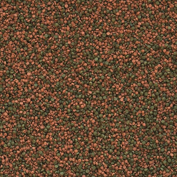 Tropical Cichlid Gran Colour-Enhancing Granulate Food with Beta Glucan 250 ml - Image 2
